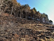 16 I segni dell'incendio domato di 15 giorni fa